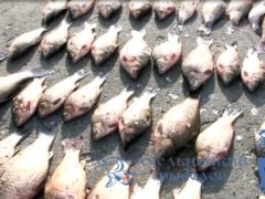 Два центнери свіжої риби відібрали у браконьєрів на Хмельниччині