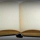 Как солить леща