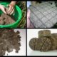 Как сделать жмых для рыбалки