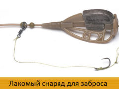 Лакомый снаряд для заброса