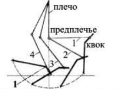 Ловля сома на квок