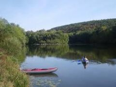 Як подалати відсутність клювання в період літньої спеки